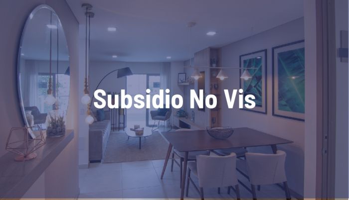 Preguntas frecuentes sobre Subsidio No Vis